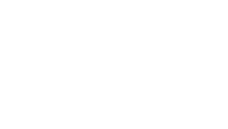 Ancor gold partner logo